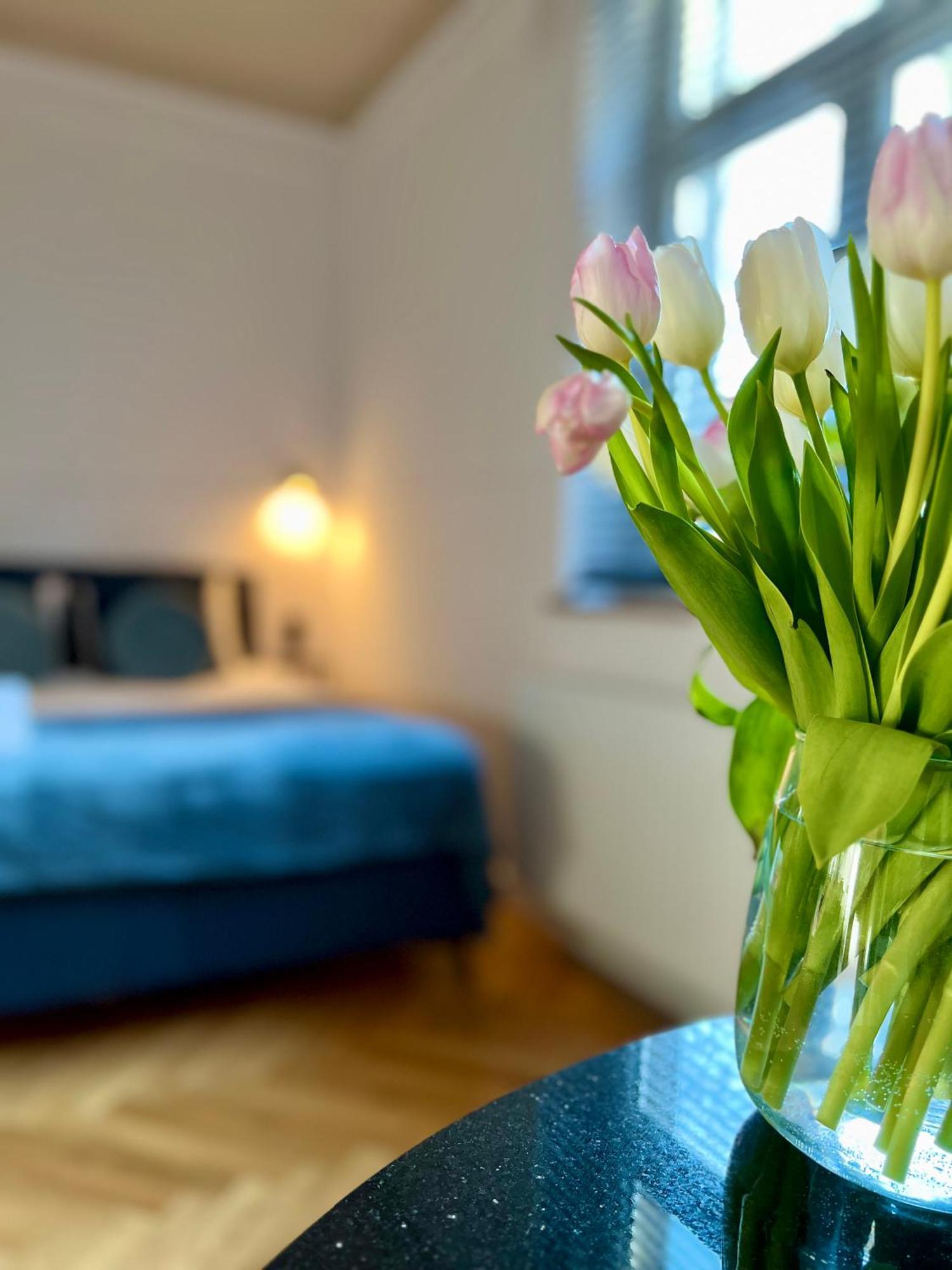 Krakow Old Town Apartment Jacuzzi - Wymeldowanie Do 13 Екстер'єр фото