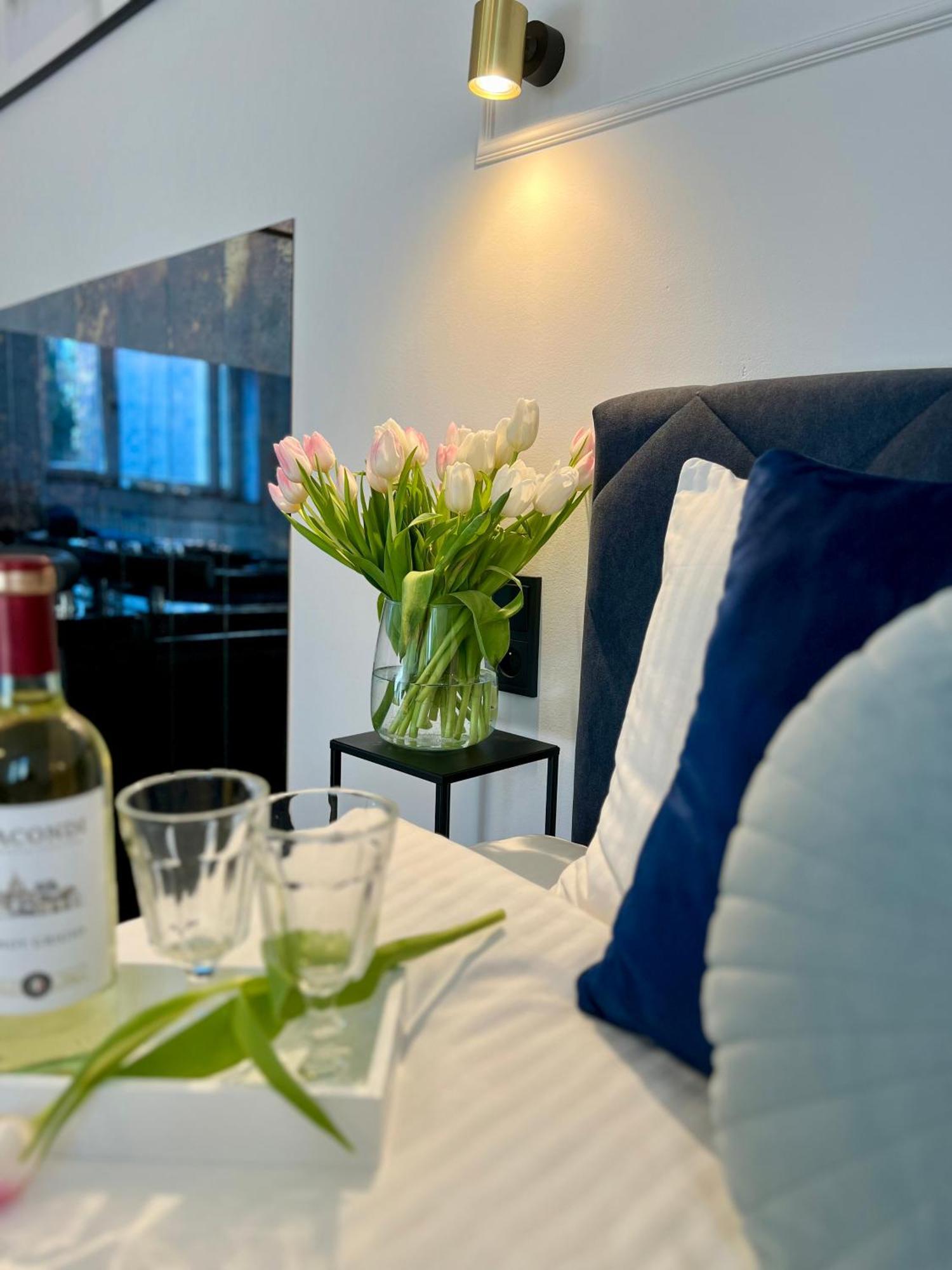 Krakow Old Town Apartment Jacuzzi - Wymeldowanie Do 13 Екстер'єр фото
